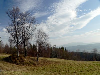 ostatnie zdjecie